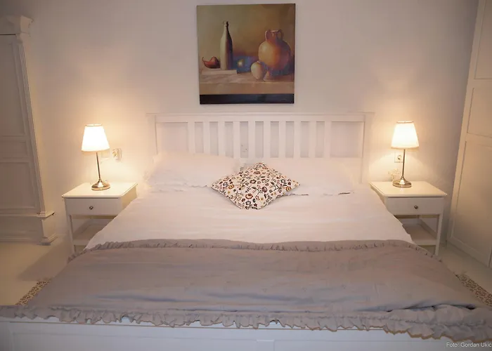 Jolli * Ρόβινι