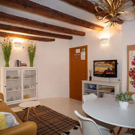 Apartment Jolli