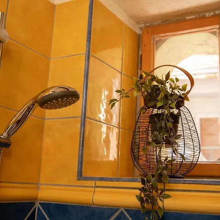 Apartment Jolli *